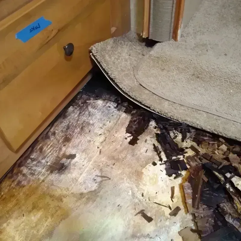 Wood Floor Water Damage in Ramsey County, MN